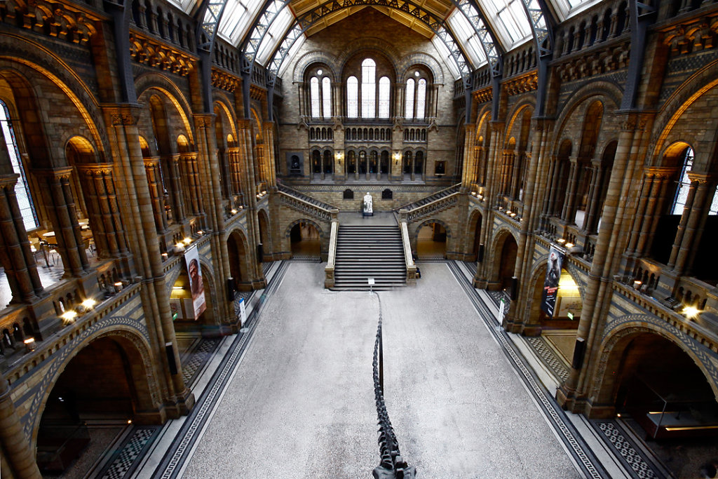 National-History-Museum.jpg