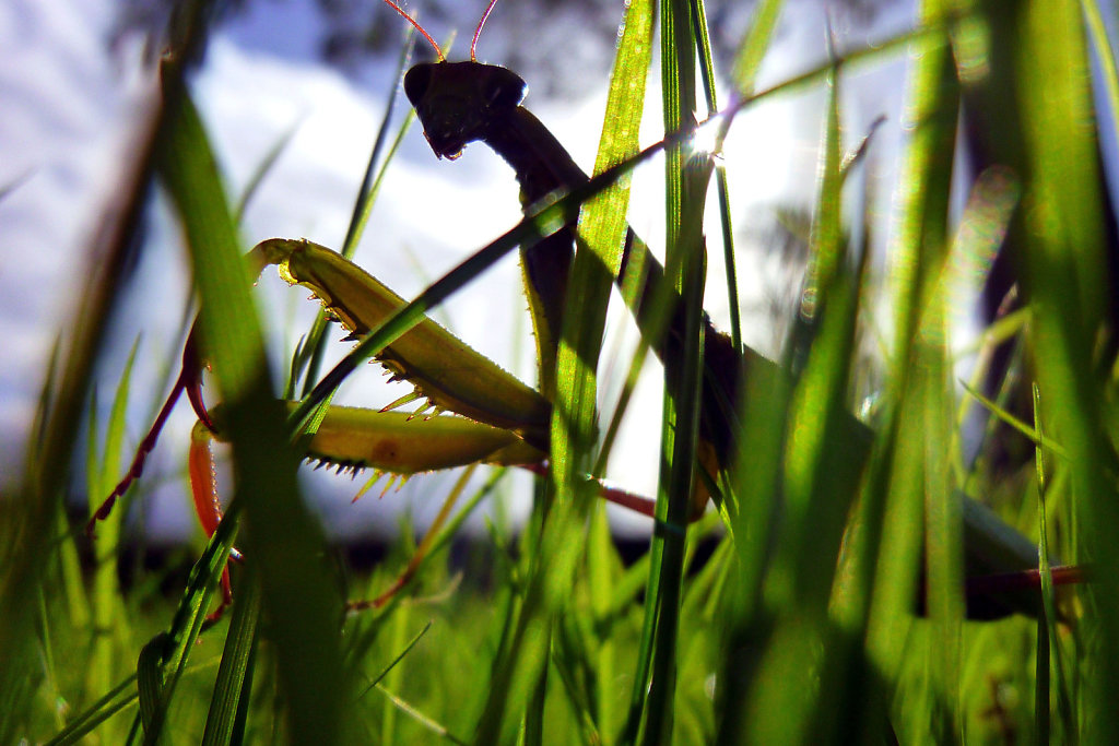 AB-photo-01.jpg